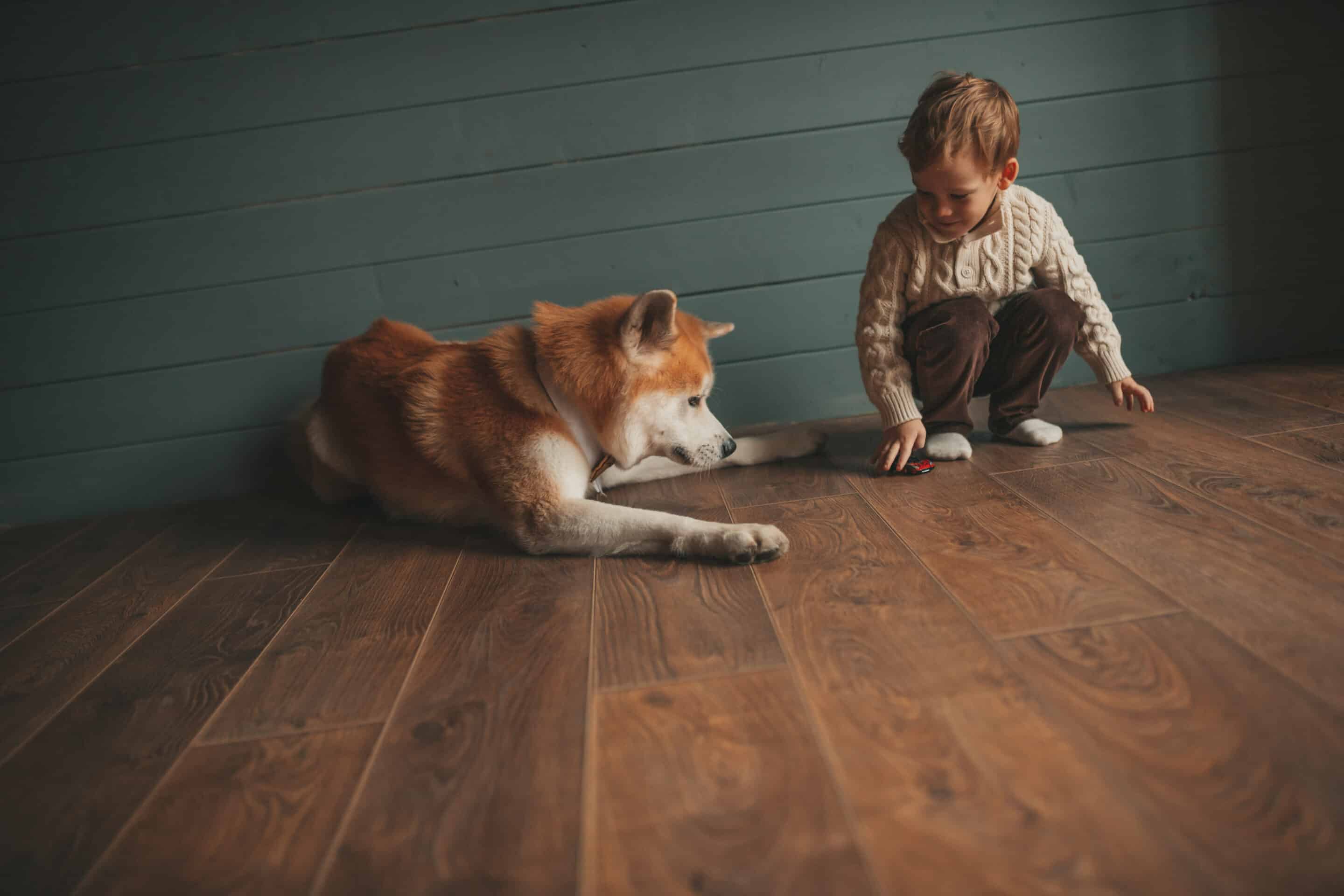 Child playing with the dog