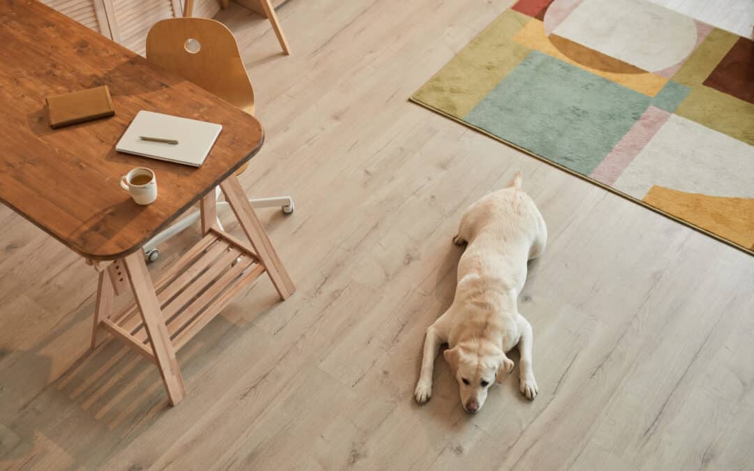 What Type of Flooring is Best for Your Home?